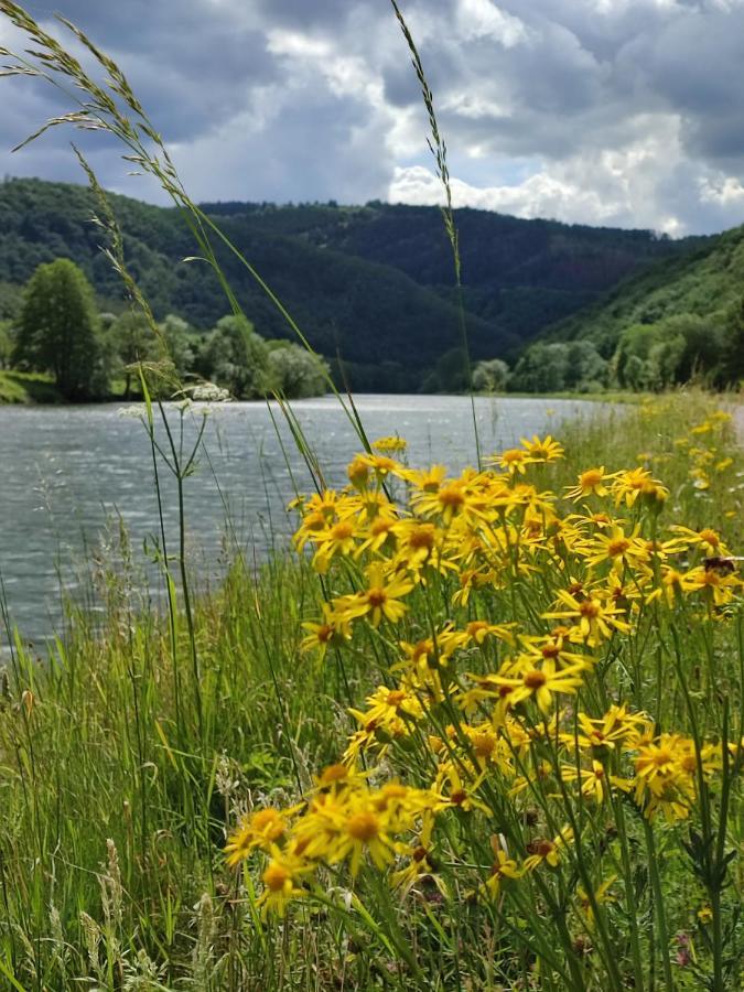 Entre Meuse Et Foret Revin  Esterno foto