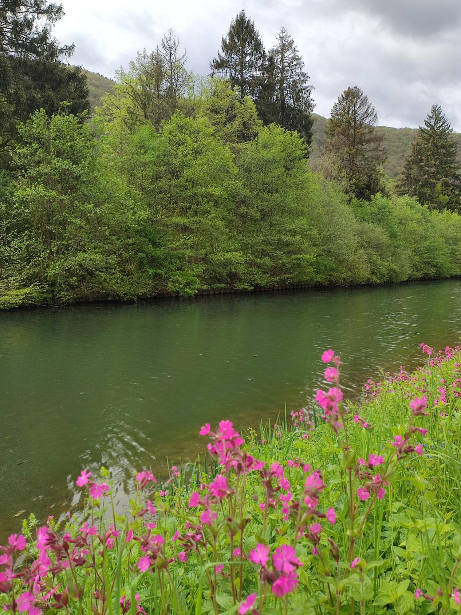 Entre Meuse Et Foret Revin  Esterno foto